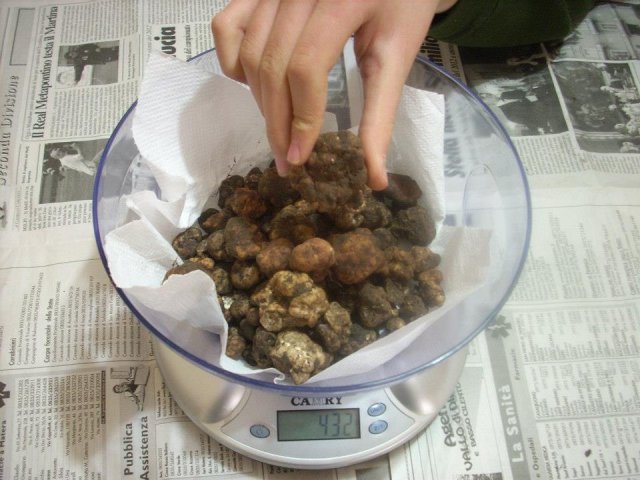 432 gr